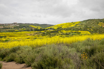 Hiking through the hills of Crystal Cover State Park in the spring. Escaping a hectic lifestyle by...