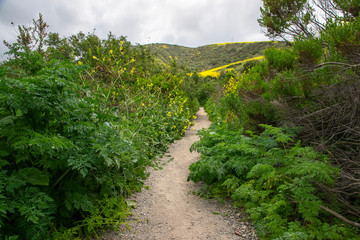 Hiking through the hills of Crystal Cover State Park in the spring. Escaping a hectic lifestyle by hiking and enjoying nature. Healthy living.  Back country hiking trails