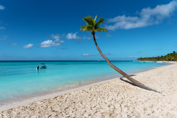 beach on tropical island