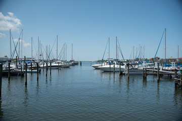 Harbor III
