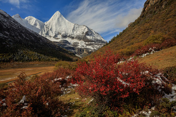 Jampayang, holy snow mountain in Daocheng Yading Nature Reserve - Garze, Kham Tibetan Pilgrimage...