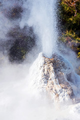 Lady Knox Geyser on the North Island in Wai-O-Tapu, Rotorua, New Zealand. With selective focus. Vertical.
