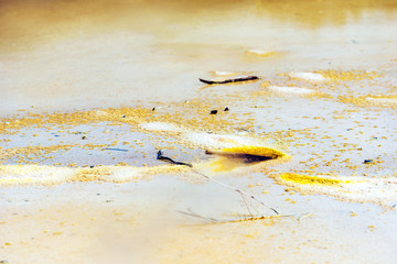 Ground texture in Wai-O-Tapu geothermal area, Rotorua, New Zealand.