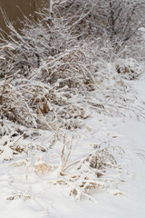 Trees covered with snow after a blizzard. Nature in winter. Christmas forest.