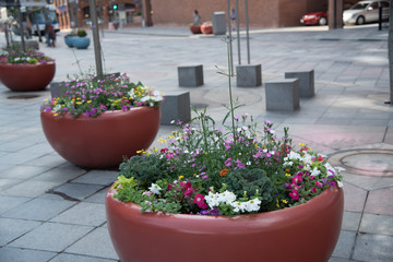 City Planter