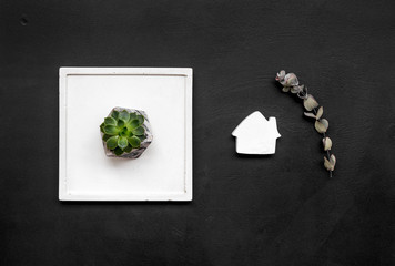 plant, concrete figures and tray decorations for morden home office on black background flat lay