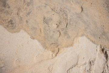 areia molhada