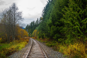 railway in the forest