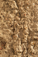 Wall of the house. Concrete coating. Cement slab.