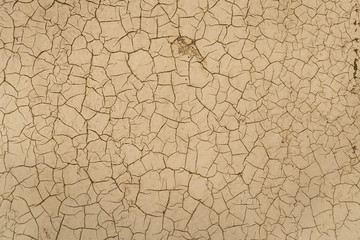 Painted wall in white. The surface is covered with craquelure.