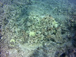 DCIM\100MEDIA
