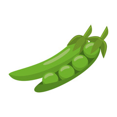 fresh vegetables peas cartoon