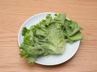 野菜工場で生産されたプリーツレタス