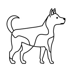 Obraz premium cute dog pet animal