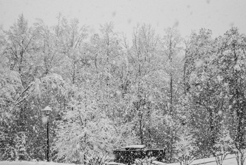 Heavy Snowfall