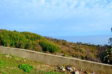 The Black Sea coast in the subtropical zone.