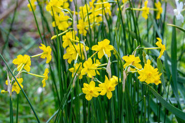 やきもの散歩道
