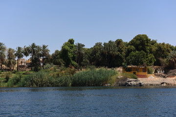 nile river  view 