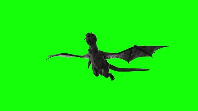 the dragon fly 3D render on green background