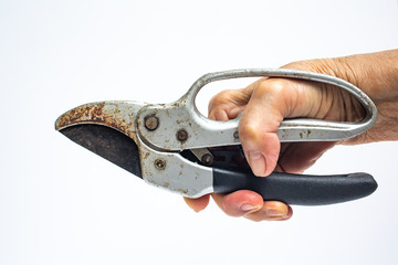 Senior Woman's right hand using garden secateurs, for cutting tree branches isolated on white background, Rusty silver metal, Garden tool concept