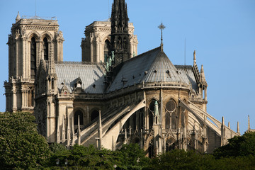 Fototapeta na wymiar notre dame de paris in the beautiful city of paris france