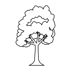 tree plant isolated icon