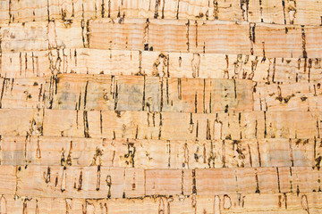 Natural cork bark texture for backgrounds