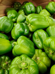 Obraz na płótnie Canvas close up of green peppers in bushel basket