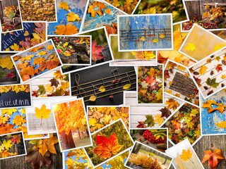 Fototapeta na wymiar Colorful autumn collage. Autumn creative set of photos