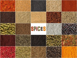 Spice and herbs background, collage of condiments