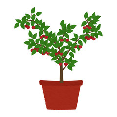 Cherry tree in clay vase. Isolated. White background. Conceptual illustration.