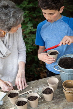 Boy and his grandmother planting seeds for the garden