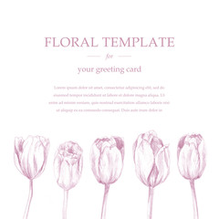 Greeting/invitation card template design, pink tulip flowers 