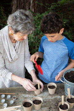 Boy and his grandmother planting seeds for the garden