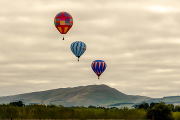 Ballons over our garden the day before the Wairarapa Balloon Festival