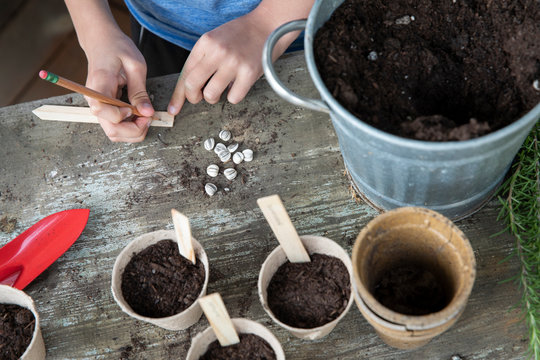 A boy carefully writing labels for the seeds he is planting in the garden