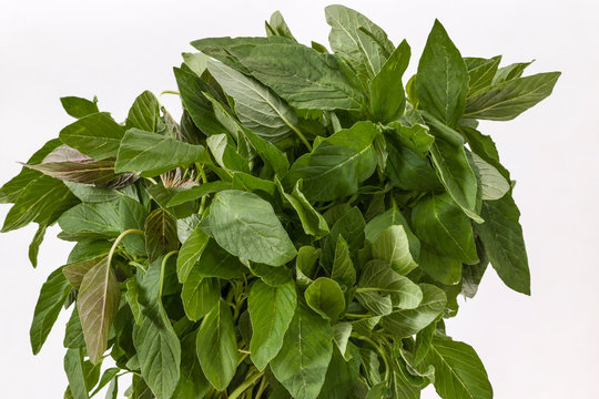 Bunch of Green Amaranth leaves
