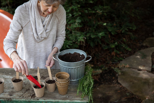 Active senior citizen woman planting seeds in garden
