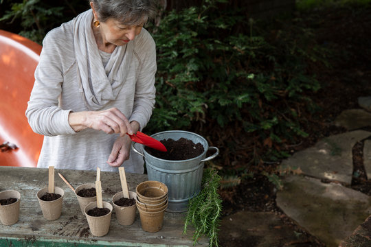 Active senior citizen woman planting seeds in garden
