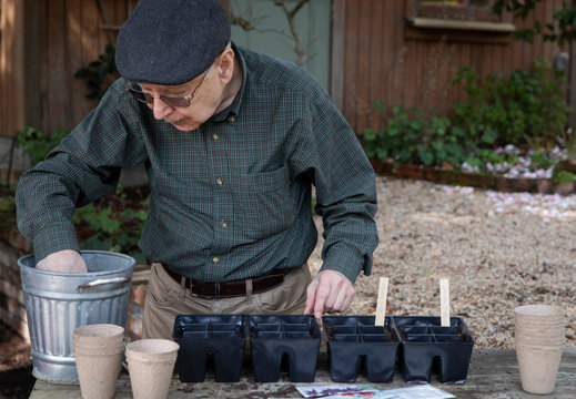 Senior citizen man planting seeds outdoors in garden