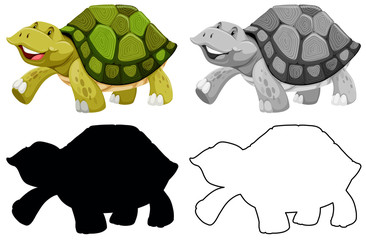 Set of turtle character