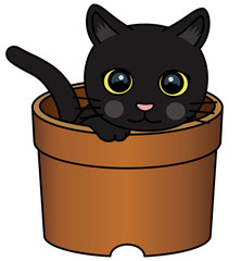 cat_black02
