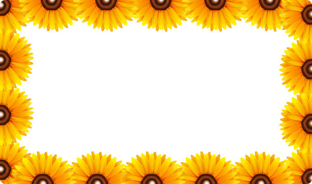 A sunflower border template