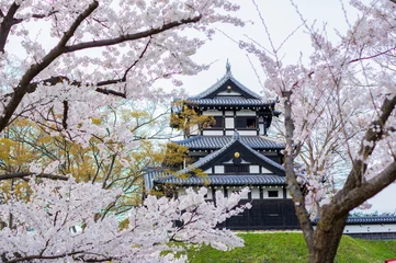 Takada castle in spring with cherry blossam in Niigata © conanedogawa