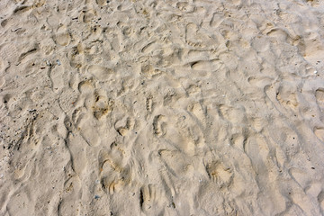 Sandy beach 