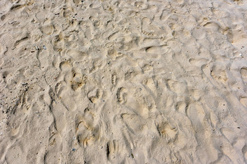 Sandy beach 