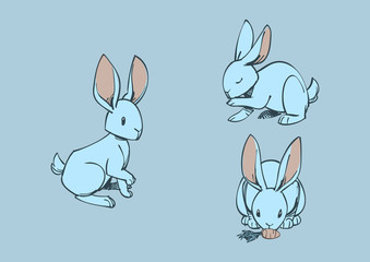 Rabbits pack