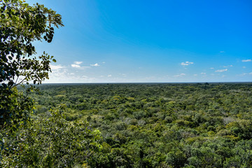 Landscape of Yucatan Peninsula