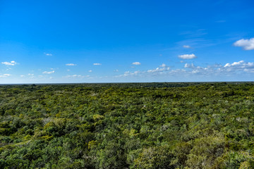 Fototapeta na wymiar Landscape of Yucatan Peninsula