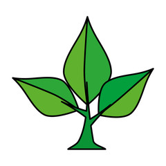 tree plant isolated icon